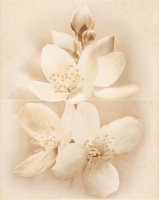 Cersanit Diana Decor Flower Dekor dekorcsempe 50x40 cm