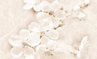 Cersanit Sofi Inserto Flower dekorcsempe 25x40 cm